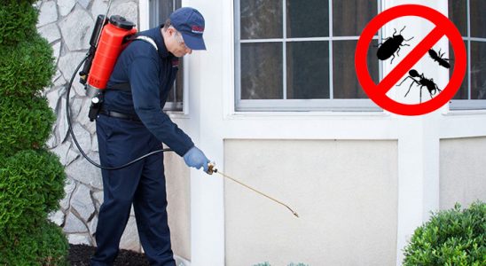 Amasra Sivrisinek İlaçlama böcek ilaçlama ve haşere kontrolü — ilaclama-tr.com